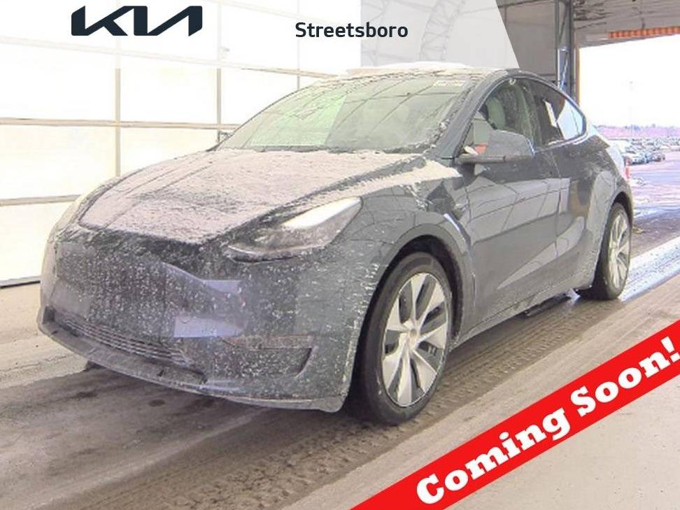 TESLA MODEL Y 2021 5YJYGDEE7MF066949 image